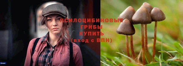 PSILOCYBIN Балахна