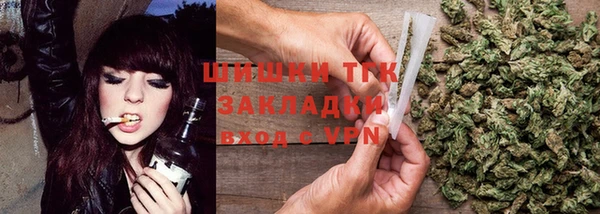 PSILOCYBIN Балахна