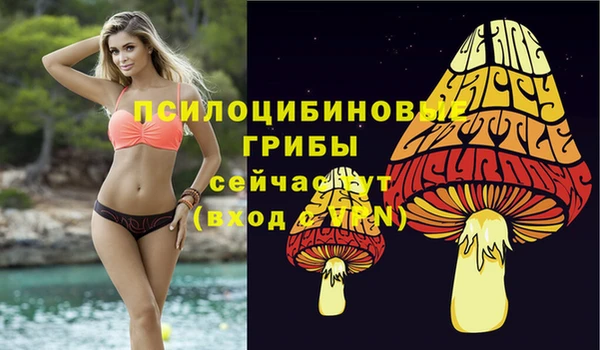 ешки Баксан