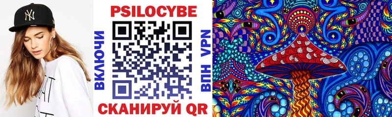 Галлюциногенные грибы Psilocybine cubensis площадка какой сайт Демидов купить наркотик